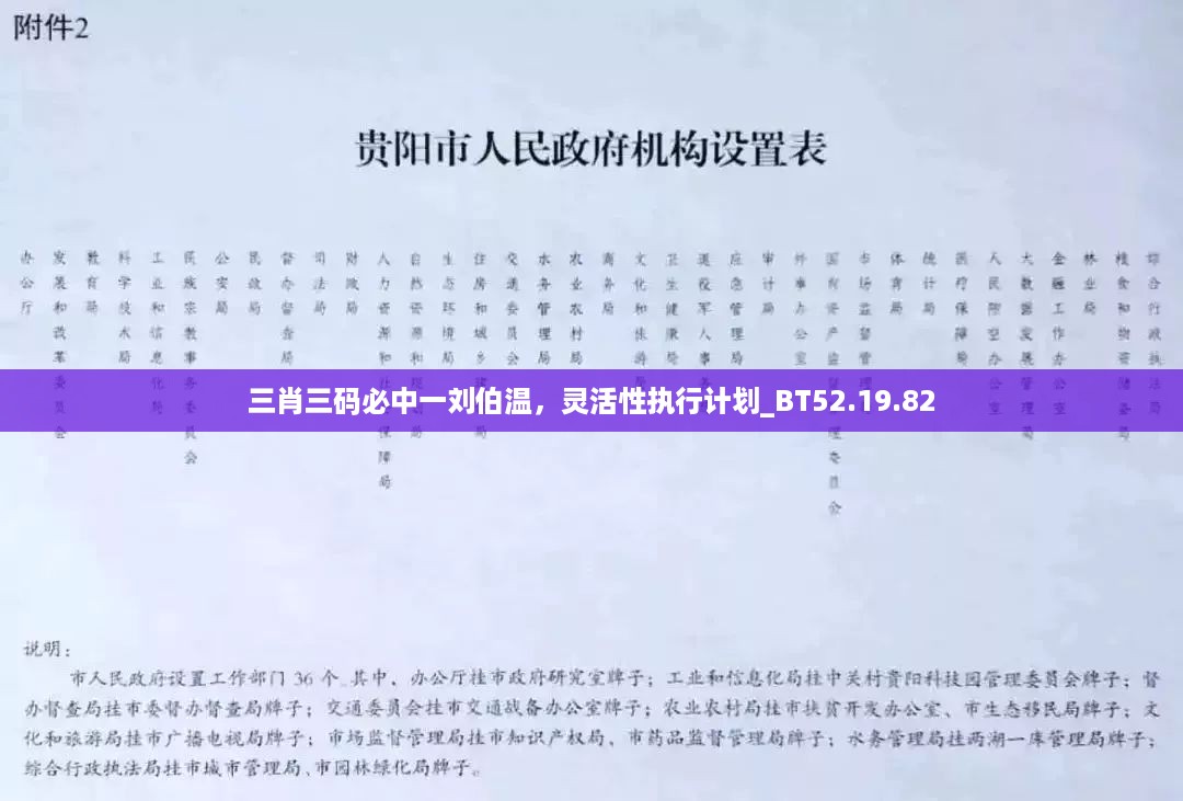 三肖三码必中一刘伯温，灵活性执行计划_BT52.19.82