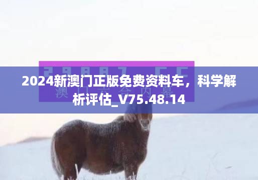公证管理 第1377页