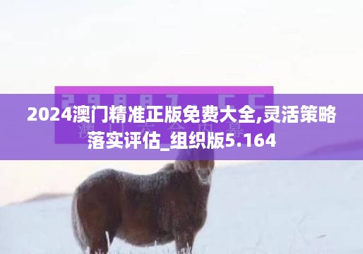 10新动28 第29页