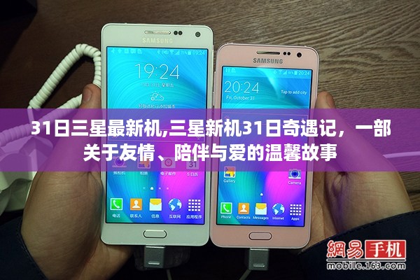 沉默的海 第37页