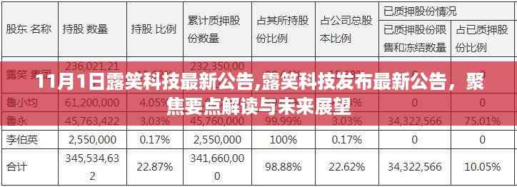 露笑科技最新公告解读及未来展望,聚焦要点与趋势分析