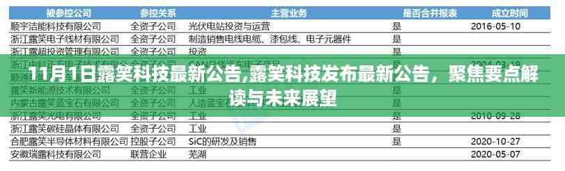 露笑科技最新公告解读及未来展望,聚焦要点与趋势分析