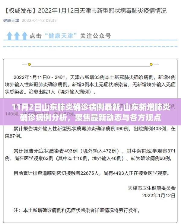 山东新增肺炎确诊病例最新动态及观点聚焦(11月2日更新)