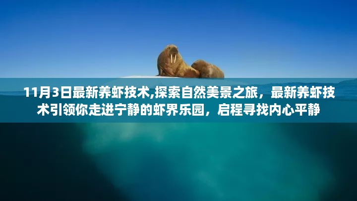 星星打烊 第31页