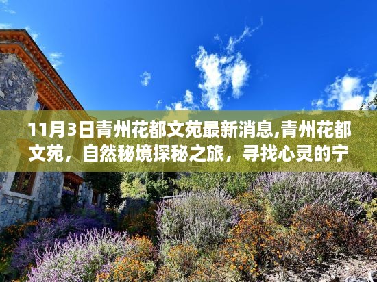 沉默的风 第28页
