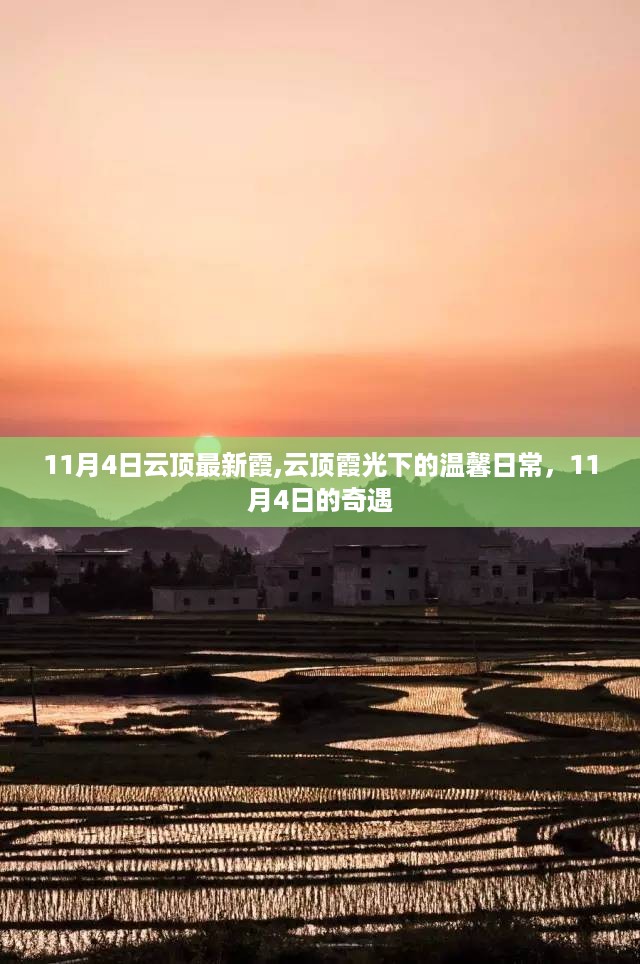 沉默的风 第25页
