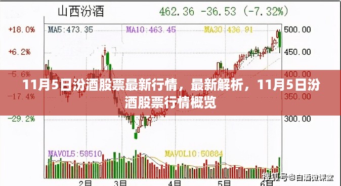 11月5日汾酒股票行情深度解析与最新概览