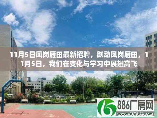 跃动凤岗雁田,最新招聘启事,展翅高飞在变化与学习的旅程
