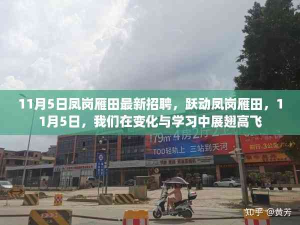 跃动凤岗雁田,最新招聘启事,展翅高飞在变化与学习的旅程