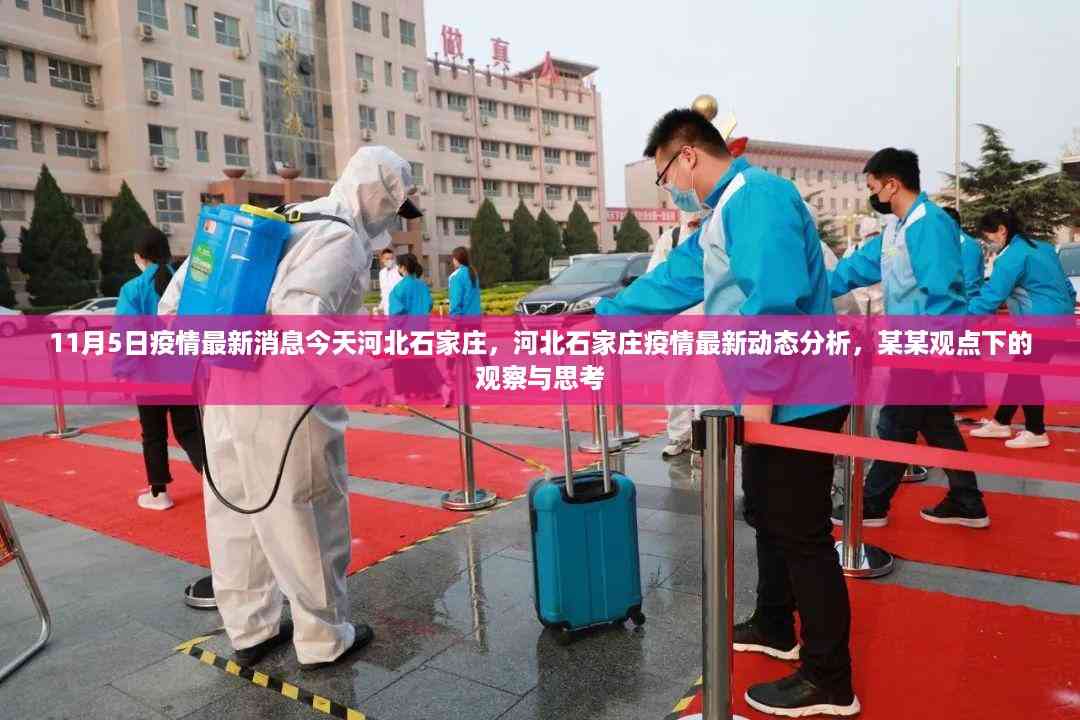 河北石家庄疫情最新动态观察与思考,今日疫情分析与观点分享