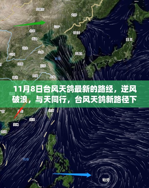 花开无言 第21页