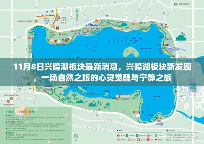 对答如流 第19页