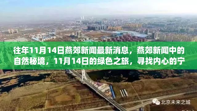 走马观花 第14页