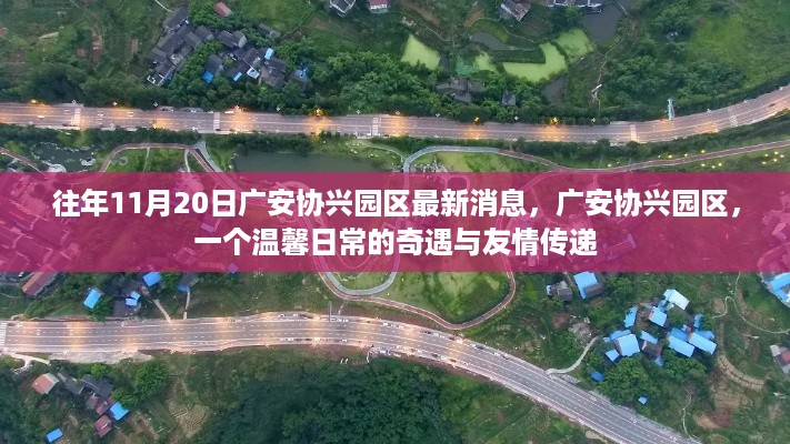 dongzhangxiwang 第9页