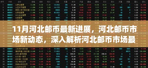 河北邮币市场最新动态解析，11月新进展深入报道