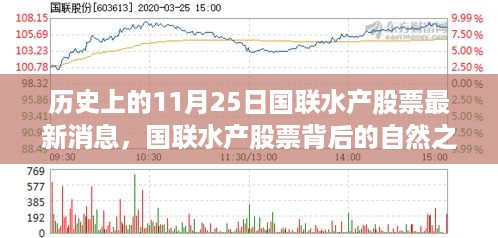 10使用28 第8页