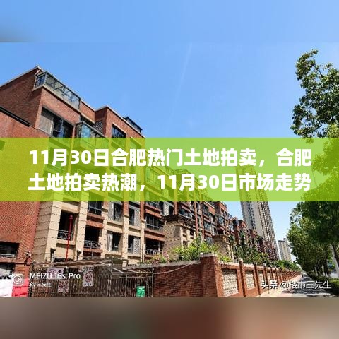 ruixuefenfei 第7页