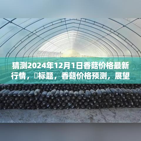 manbujingxin 第8页