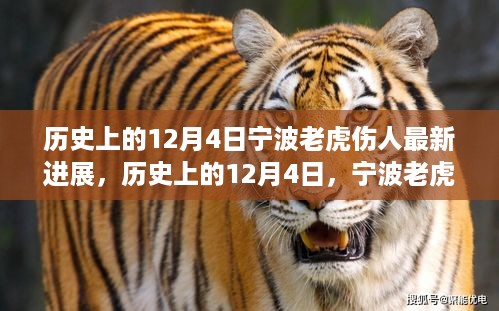 guinongjianshang 第7页