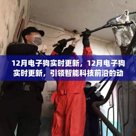 guizaizhixin 第6页