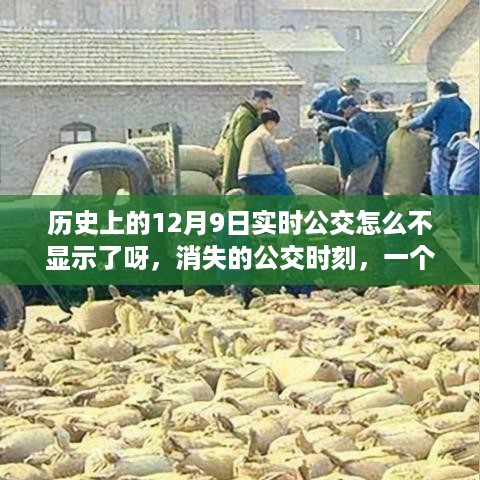 bainiaozhaiming 第6页