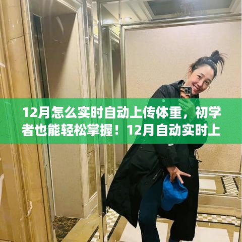 12月体重自动实时上传指南，零基础也能轻松掌握步骤！