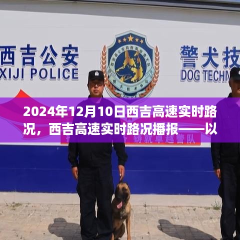 xinshidandan 第6页