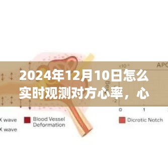 云烟 第6页