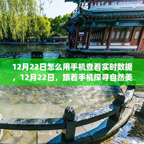 yangchangniaodao 第5页
