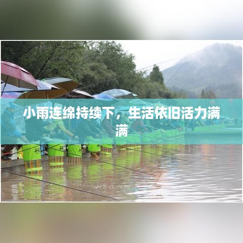 林下风气 第4页