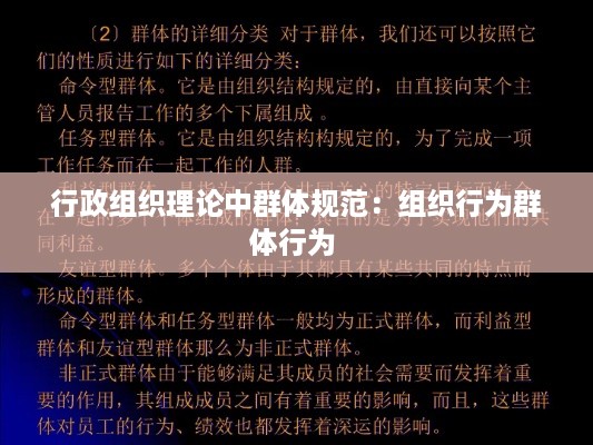 xinshidandan 第3页