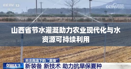 张牙舞爪 第2页
