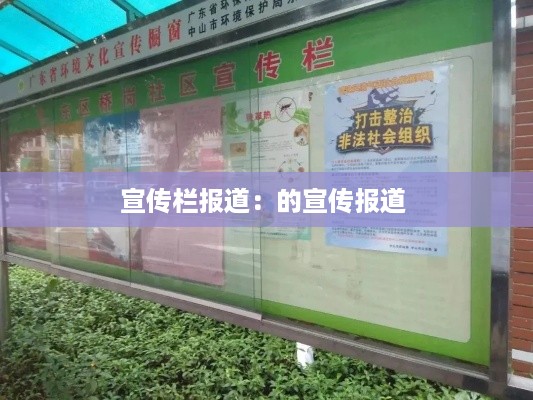 宣传栏报道：的宣传报道 