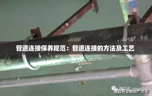 鸟惊鱼骇 第2页