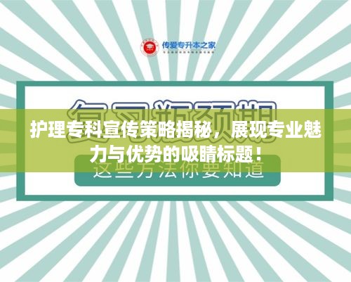 贵险贱璧 第3页