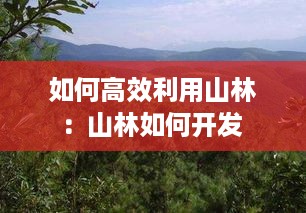 发奋图强 第2页