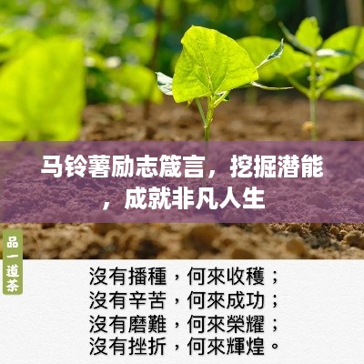 怀真抱素 第2页