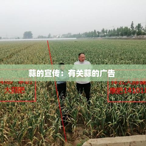 萍水相逢 第2页