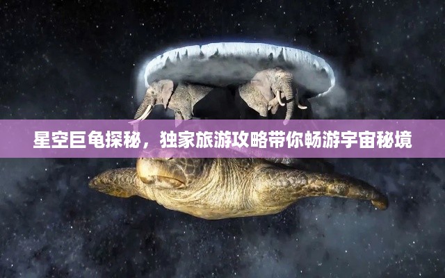 nifengfeiyang 第2页