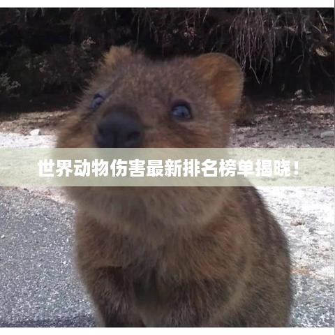 心旷神怡 第2页