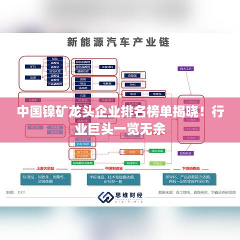 中国镍矿龙头企业排名榜单揭晓！行业巨头一览无余
