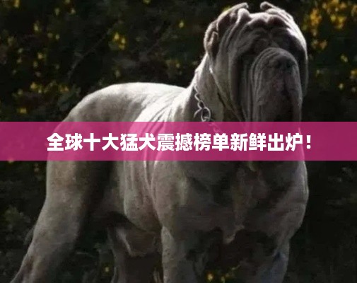 权贵显要 第2页