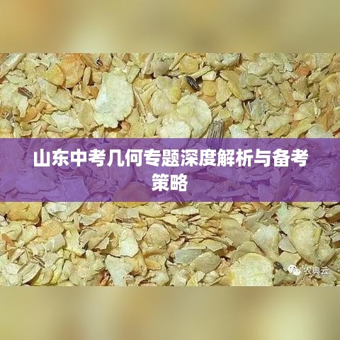2025年5月5日 第3页