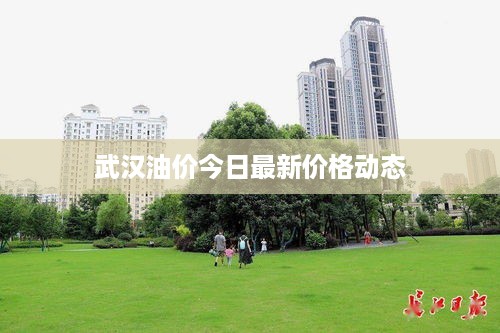 2025年5月16日 第3页