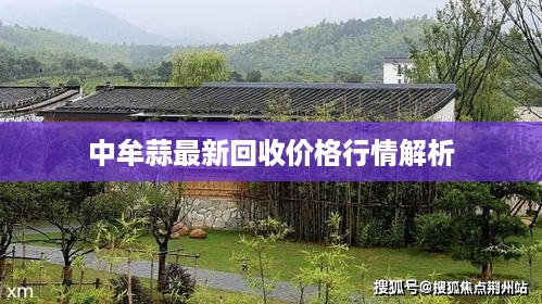 张皇铺饰