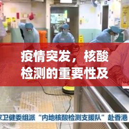 niaoshengshouxin 第2页