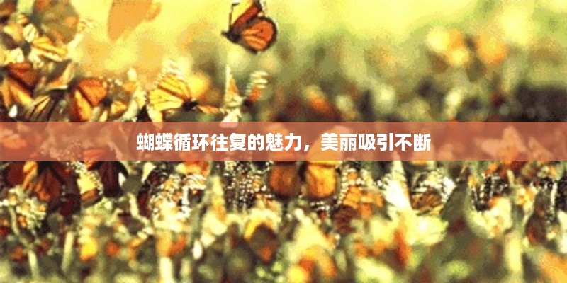 初遇在故事开头